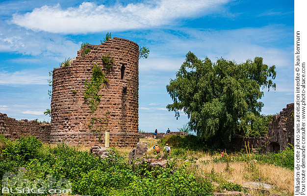 Photo : Château du Frankenbourg, Neubois, Bas-Rhin (67) - (ref. C230714-012) © Jean Isenmann