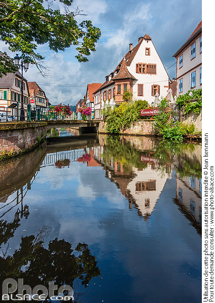Photo : La Lauter dans le quartier du Bruch, Wissembourg, Bas-Rhin (67) - (ref. C230725-002) © Jean Isenmann