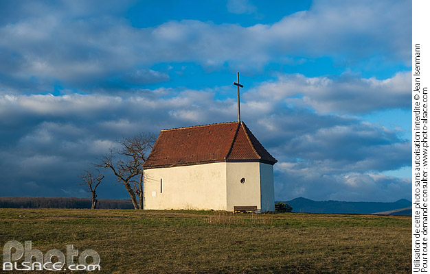 Photo : Chapelle du Bollenberg (Chapelle Sainte-Croix), Orschwihr, Haut-Rhin (68) - (ref. 250111-036) © Jean Isenmann