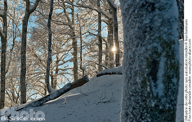 Photo Foret Et Sous Bois En Hiver Sous La Neige Kolbenwald Metzeral Haut Rhin 68 1701 049