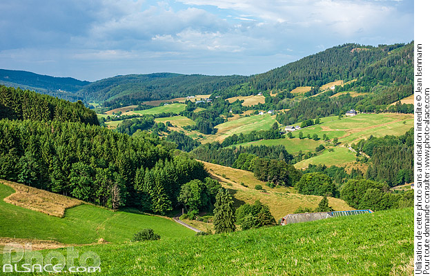 Photo : Faurupt, Le Bonhomme, Parc naturel régional des Ballons des Vosges, Haut-Rhin (68) - (ref. C230708-004) © Jean Isenmann