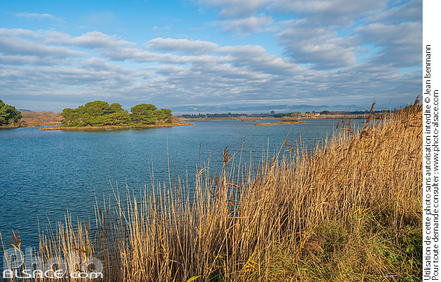 Photo : Etangs de Villepey, Fréjus, Var (83) - (ref. 241231-018) © Jean Isenmann