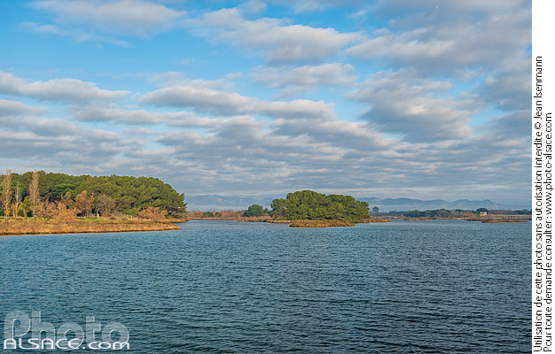 Photo : Etangs de Villepey, Fréjus, Var (83) - (ref. 241231-021) © Jean Isenmann