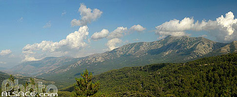Photo : Vallée du Golo et Punta Artica, Forêt Territoriale de Valdu Niellu, Parc naturel régional de Corse, Haute-Corse (2B), Corse, France