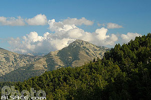 Photo : Capu a u Tozzu, Forêt Territoriale de Valdu Niellu, Parc naturel régional de Corse, Haute-Corse (2B)