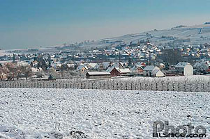 Photo : Bergbieten et Dangolsheim en hiver, Bas-Rhin (67)