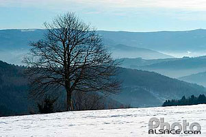 Photo : Col du Donon en hiver, Grandfontaine, Bas-Rhin (67)