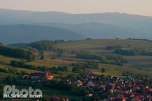 Photo : Village de Dangolsheim, Bas-Rhin (67)
