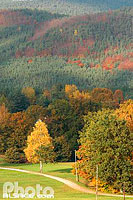 Photo : Forêt en automne, Lichtenberg, Parc naturel régional des Vosges du Nord, Bas-Rhin (67), Alsace, France