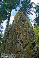 Photo : Château de la Roche, Bellefosse, Bas-Rhin (67)