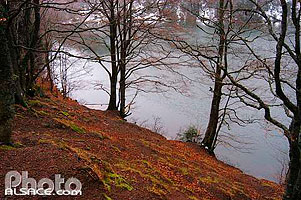 Photo : Lac des Perches, Rimbach-près-Masevaux, Parc naturel régional des Ballons des Vosges, Haut-Rhin (68), Alsace, France