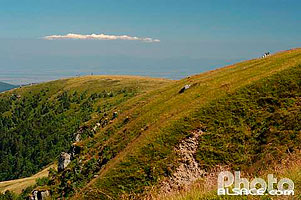 Photo : Le petit Hohneck en été, Haut-Rhin (68)
