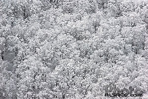 Photo : Vosges en Hiver depuis le Col de la Schlucht, Parc naturel régional des Ballons des Vosges, Haut-Rhin (68)
