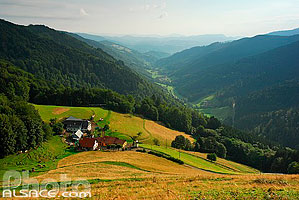Photo : Ferme au dessus de la vallée d'Echery (Vallée de la liepvrette), Val d'Argent, Parc naturel régional des Ballons des Vosges, Haut-Rhin (68), Alsace, France