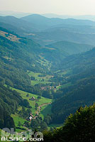 Photo : Vallée d'Echery (Vallée de la liepvrette), Val d'Argent, Parc naturel régional des Ballons des Vosges, Haut-Rhin (68), Alsace, France