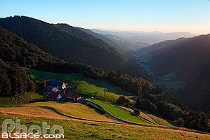 Photo : Ferme au dessus de la vallée d'Echery (Vallée de la liepvrette), Val d'Argent, Parc naturel régional des Ballons des Vosges, Haut-Rhin (68), Alsace, France