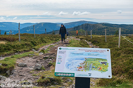 Photo : Panneau d'information dans la réserve naturelle de Tanet-Gazon du Faing, Parc naturel régional des Ballons des Vosges, Haut-Rhin (68)