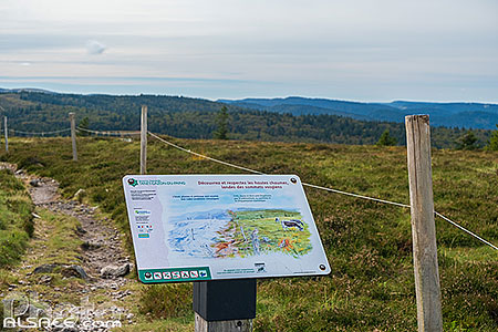 Photo : Panneau d'information dans la réserve naturelle de Tanet-Gazon du Faing, Parc naturel régional des Ballons des Vosges, Haut-Rhin (68), Alsace, France