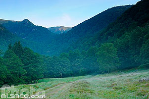 Photo : Vallée de la Wormsa, Metzeral, Parc naturel régional des Ballons des Vosges, Haut-Rhin (68)