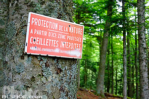 Photo : Panneau de protection de la Nature, Wormsawald, Parc naturel régional des Ballons des Vosges, Haut-Rhin (68)