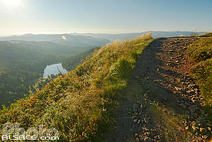 Photo : Sentier de randonné, Réserve Naturelle de Tanet-Gazon du Faing, Parc naturel régional des Ballons des Vosges, Haut-Rhin (68)