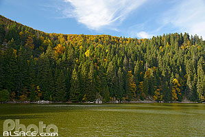 Photo : Lac Vert (ou Lac de Soultzeren), Soultzeren, Parc naturel régional des Ballons des Vosges, Haut-Rhin (68), Alsace, France