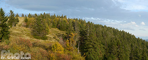 Photo : Les Chaumes, Soultzeren, Parc naturel régional des Ballons des Vosges, Haut-Rhin (68)