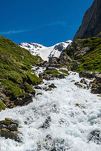 Photo : Torrent de la Glière et la Grande Casse, Pralognan-la-Vanoise, Parc national de la Vanoise, Savoie (73), Rhône-Alpes, France