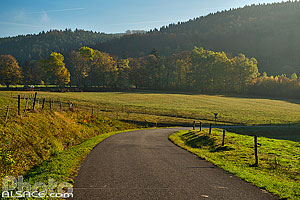 Photo : Paysage et route en automne, Lubine, Vosges (88)