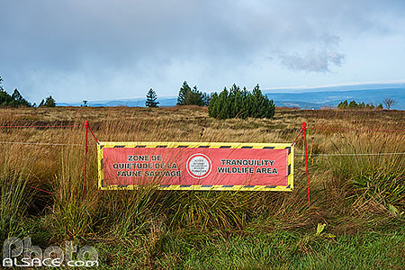 Photo : Signalisation de l'accès interdit de la zone de quietude de la faune sauvage, Réserve Naturelle de Tanet-Gazon du Faing, Parc naturel régional des Ballons des Vosges, Vosges (88)