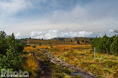 Photo : Réserve Naturelle de Tanet-Gazon du Faing, Parc naturel régional des Ballons des Vosges, Vosges (88)