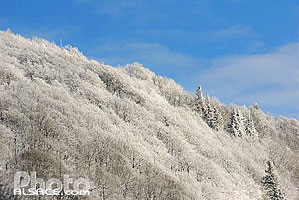 Photo : Les crêtes en hiver depuis la Tourbiere du Machais, Vosges (88), Lorraine, France