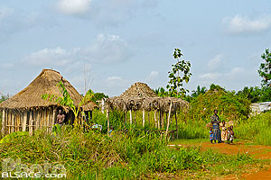 Habitat traditionnel Holli en bordure de la Forêt de la Lama (Forêt de Ko), Zogbodomè, Zou, Bénin