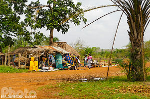Marché Holli, Forêt de la Lama (Forêt de Ko), Zogbodomè, Zou, Bénin