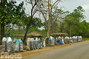 Photo : Vente de charbon au bord de la route RNIE2, Abomey, Zou, Bénin