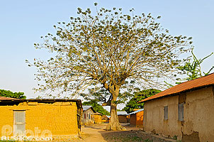 Photo : Village de Camaté-Shakaloké, Dassa, Collines, Bénin, Collines, Bénin