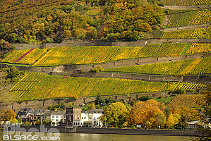 Photos de Assmannshausen en Rheinland-Pfalz, Allemagne