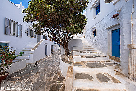 Photo : Village pittoresques de Kastro ancienne capitale de l'île de Sifnos, Archipel des Cyclades, Grèce